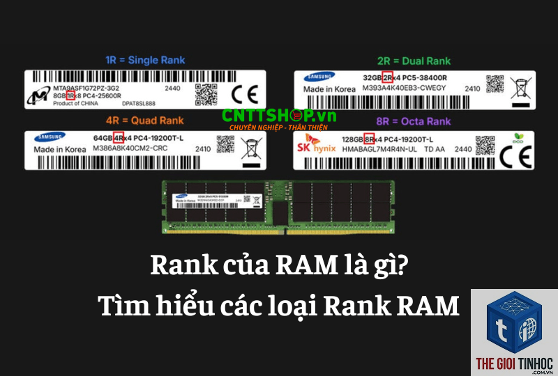 also rank for là gì - Hình 1
