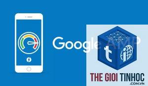 amp là gì