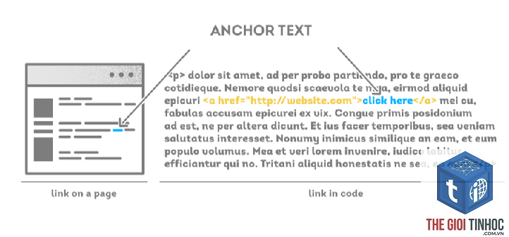 anchor text trong ahrefs là gì - Hình 3