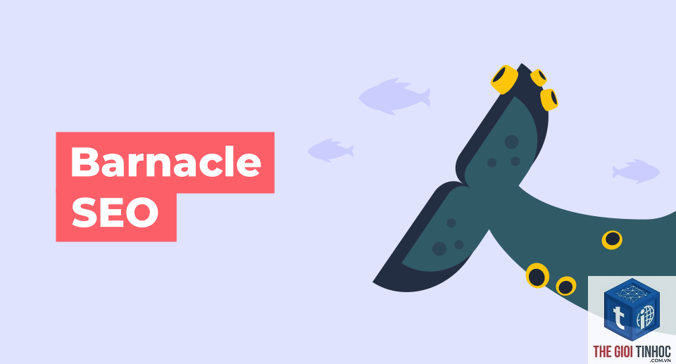 barnacle seo là gì