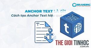 branded anchor là gì