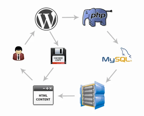 cache wordpress là gì - Hình 1