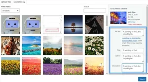 chèn ảnh vào wordpress