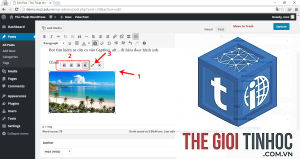 chỉnh sửa thông tin ảnh wordpress