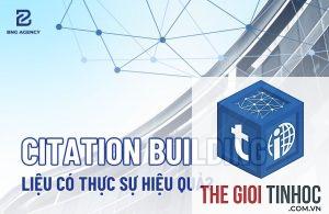 citation building là gì