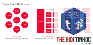 content hub là gì