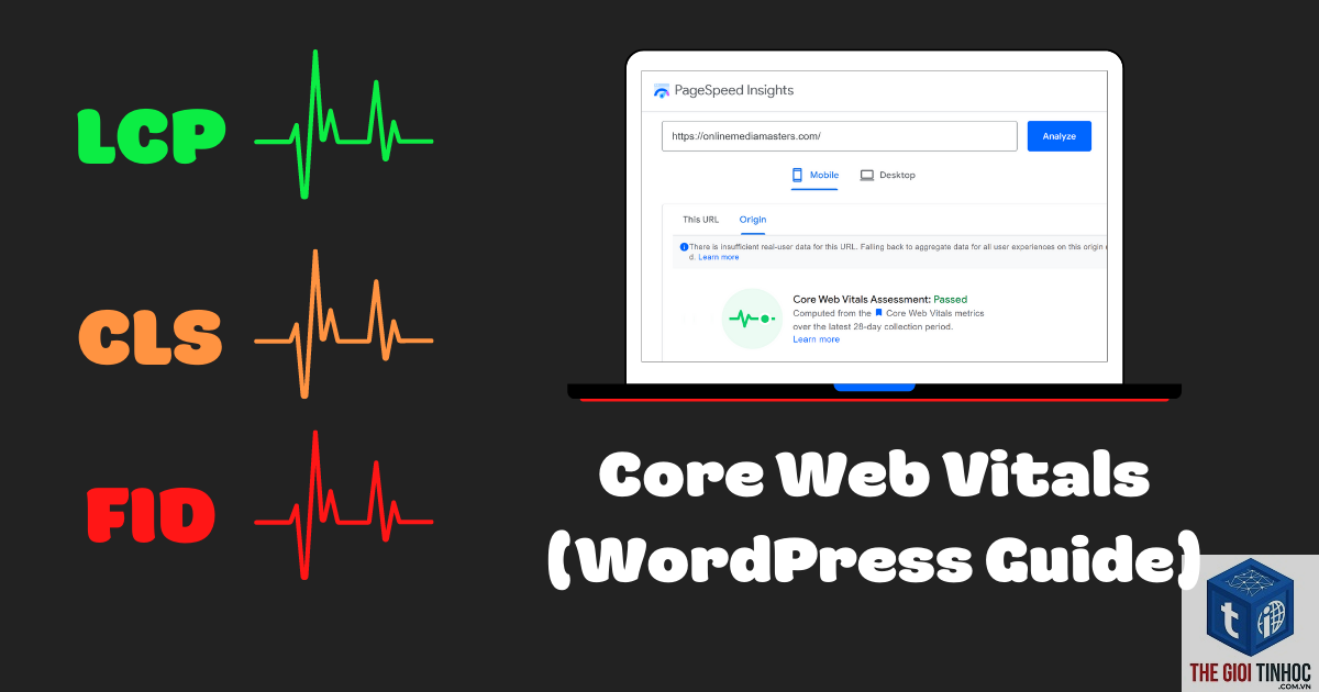 core web vitals wordpress - Hình 5