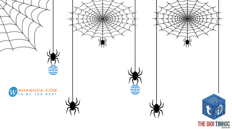 crawl anomaly là gì - Hình 1