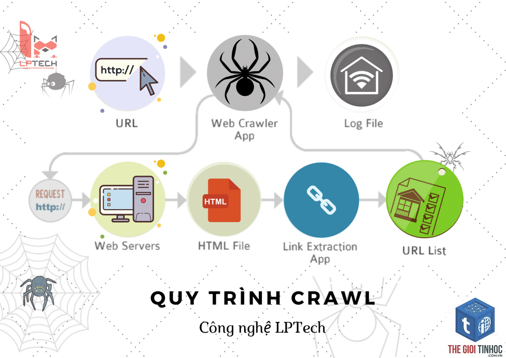 crawl là gì