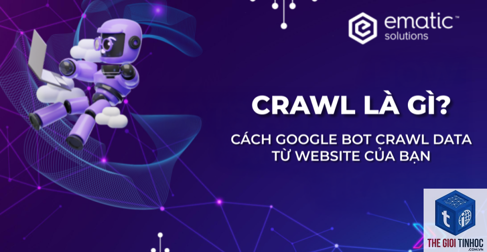 crawl stats là gì - Hình 2
