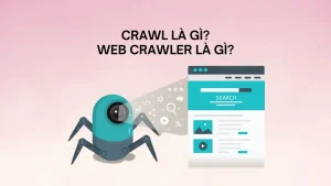 crawl trap là gì