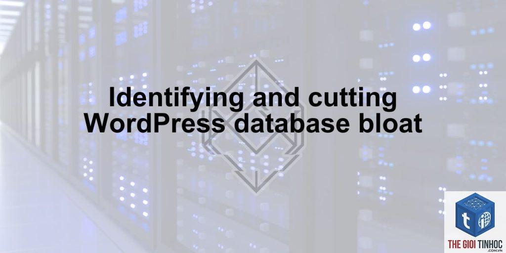 database bloat wordpress