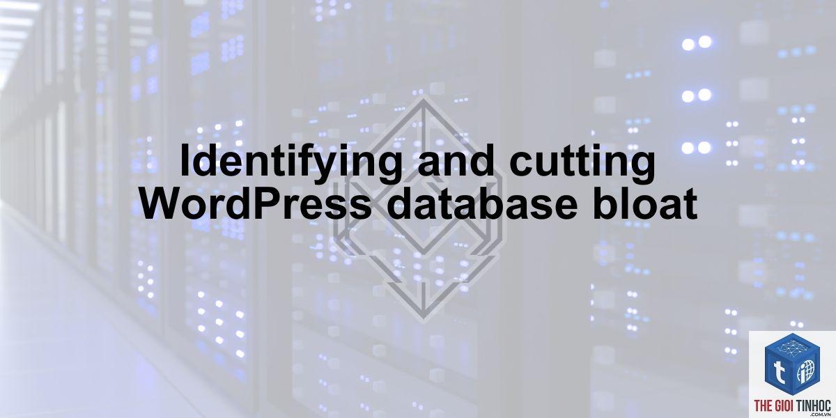 database bloat wordpress - Hình 1