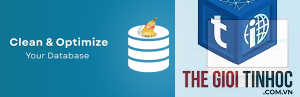 database cleanup wordpress