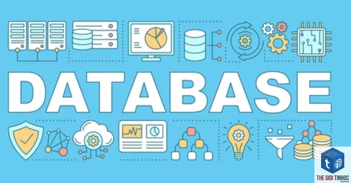 database wordpress là gì - Hình 4