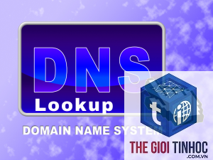 dns lookup wordpress là gì