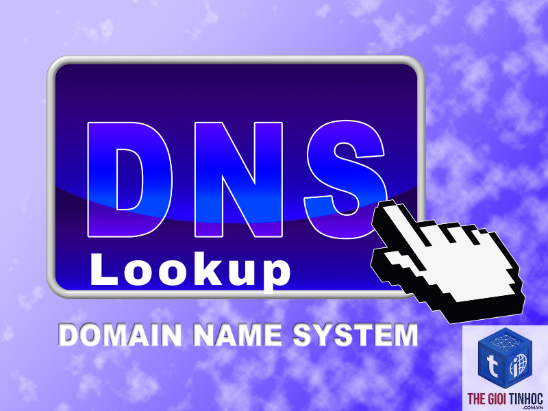 dns lookup wordpress là gì