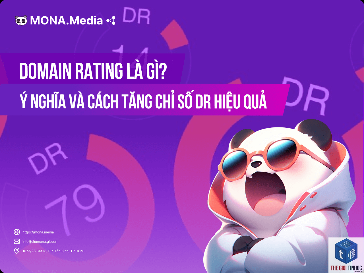 domain rating là gì - Hình 5