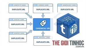 duplicate google chọn canonical là gì