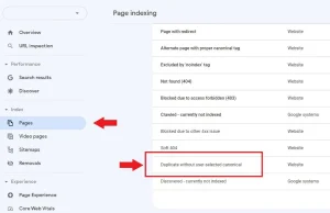 duplicate without user selected canonical là gì