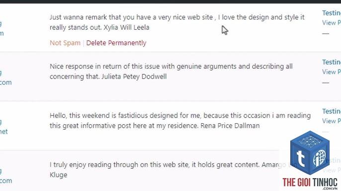 duyệt bình luận wordpress - Hình 5