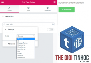 dynamic data elementor