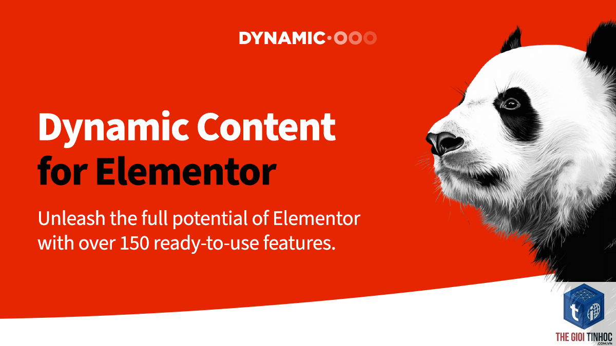 dynamic image elementor - Hình 4