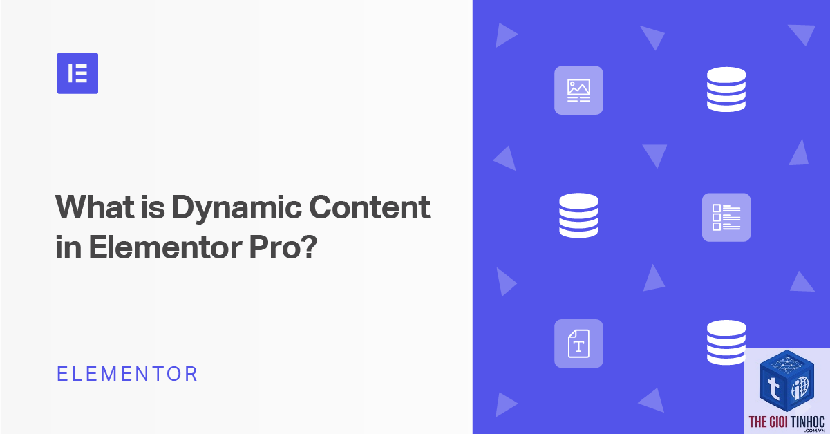 dynamic template elementor - Hình 4