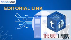 editorial link là gì