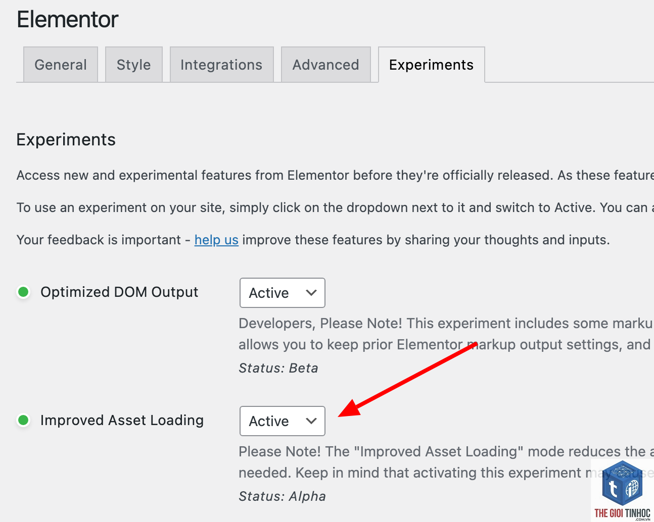 elementor asset loading - Hình 5