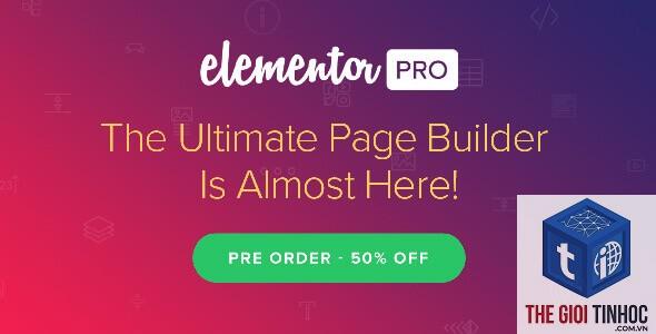 elementor asset quá lớn - Hình 4