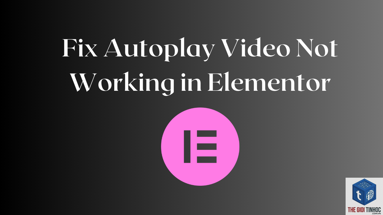 elementor autoplay lỗi - Hình 2