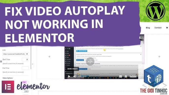 elementor autoplay lỗi - Hình 1