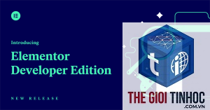 elementor developer