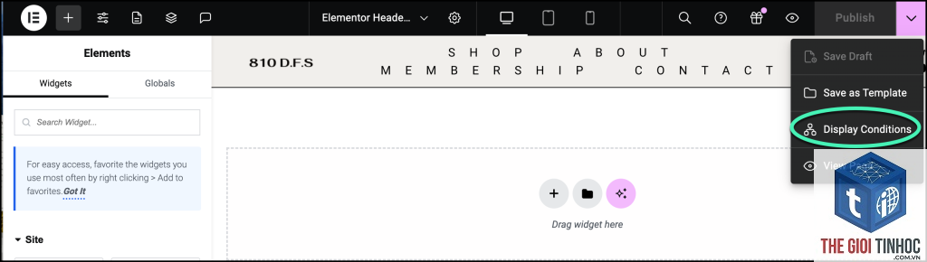 elementor display condition lỗi