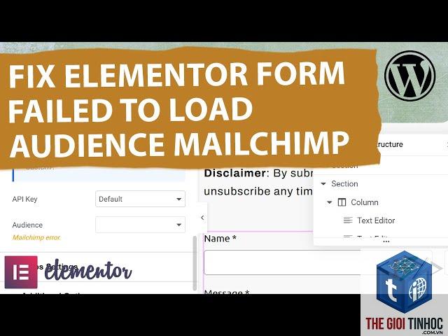 elementor form mailchimp lỗi
