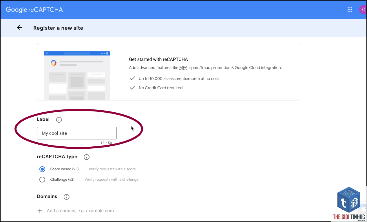 elementor form recaptcha lỗi - Hình 4