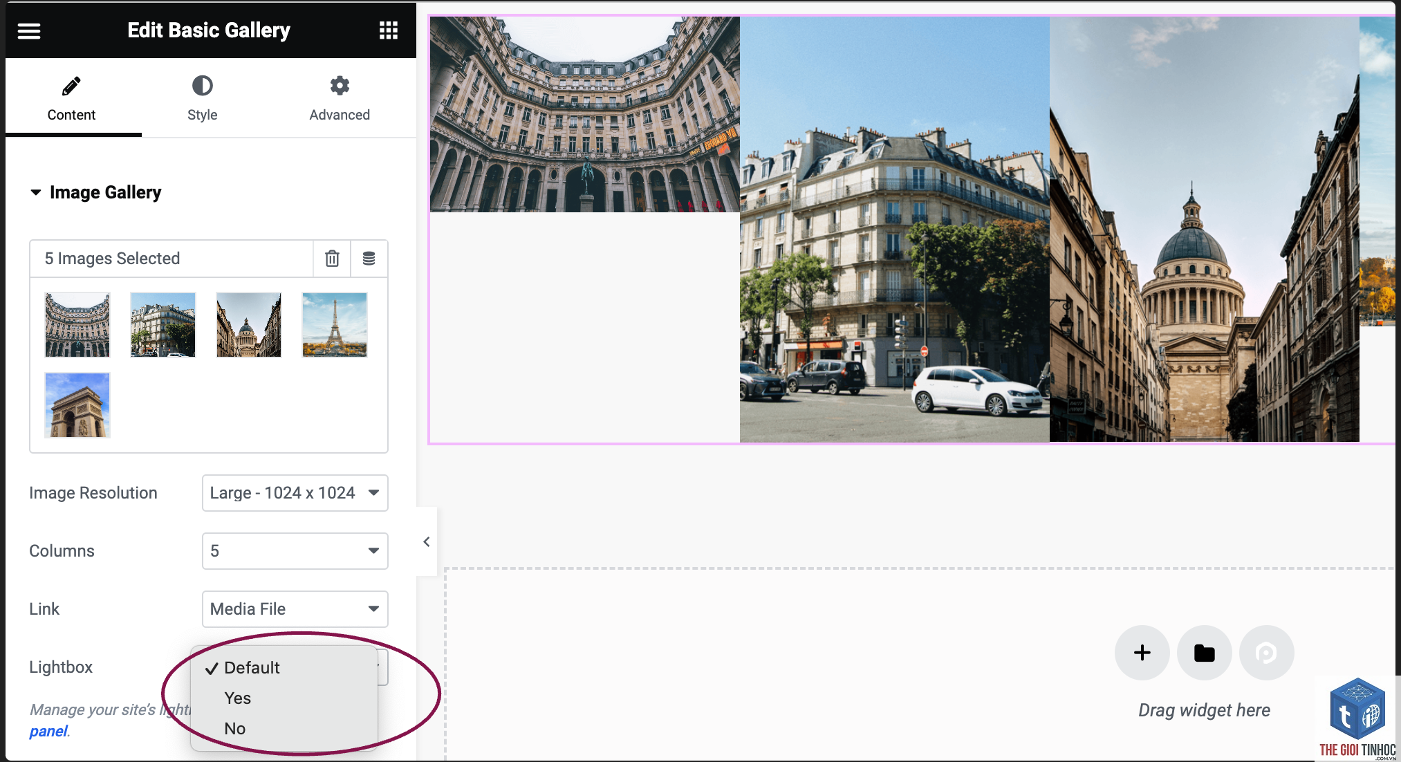 elementor gallery widget lỗi - Hình 5