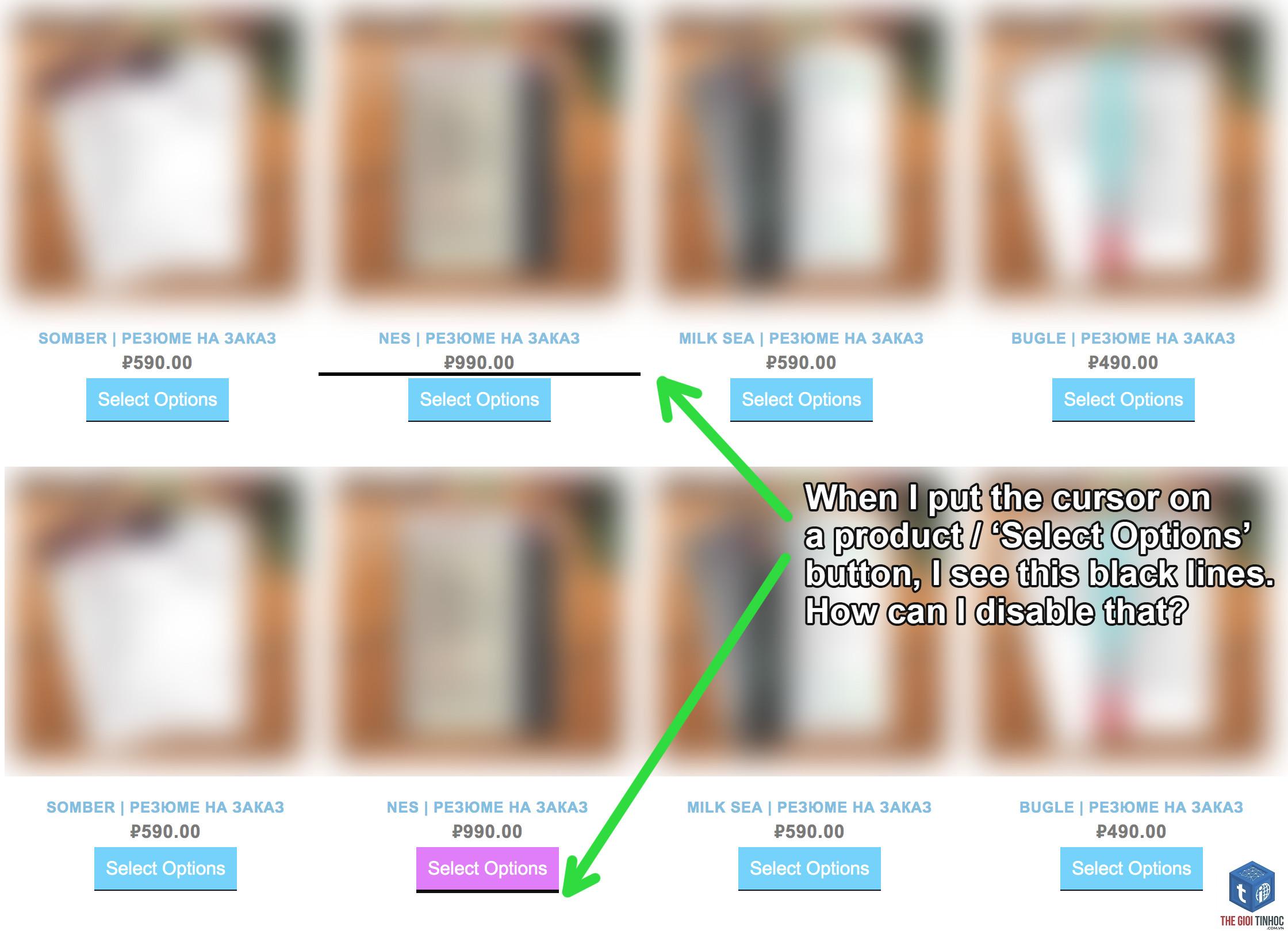elementor hover animation lỗi - Hình 5