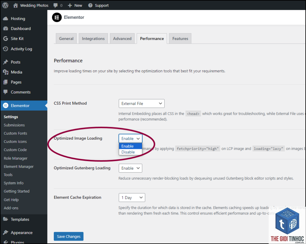 elementor lazy load lỗi