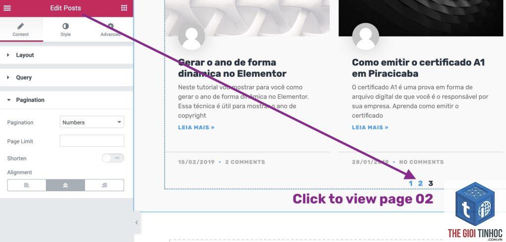 elementor pagination lỗi