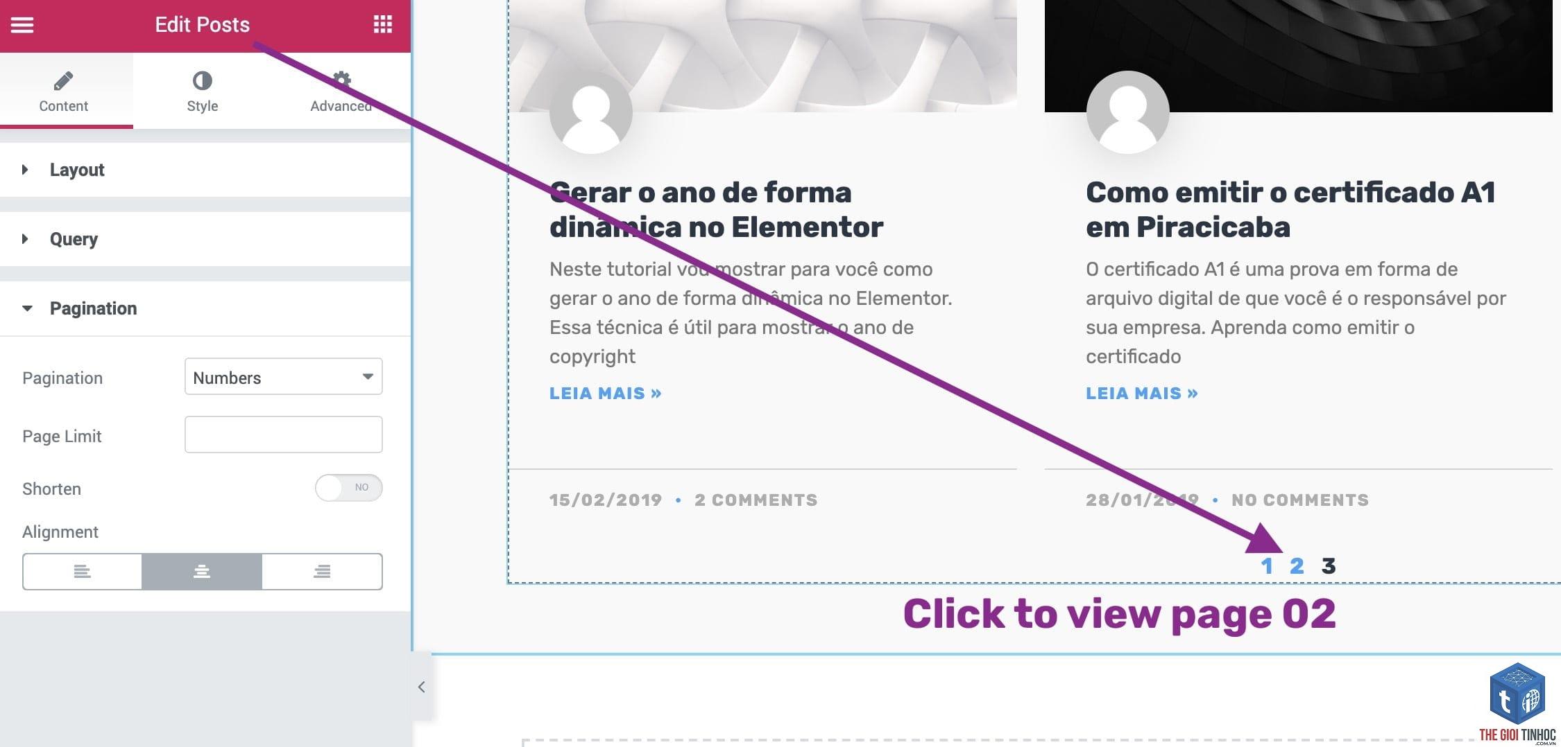 elementor pagination lỗi - Hình 1