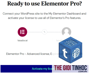 elementor pro license lỗi