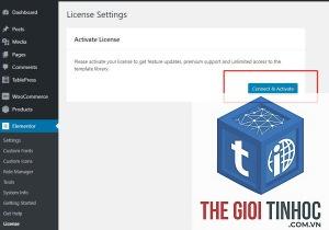 elementor system info lỗi