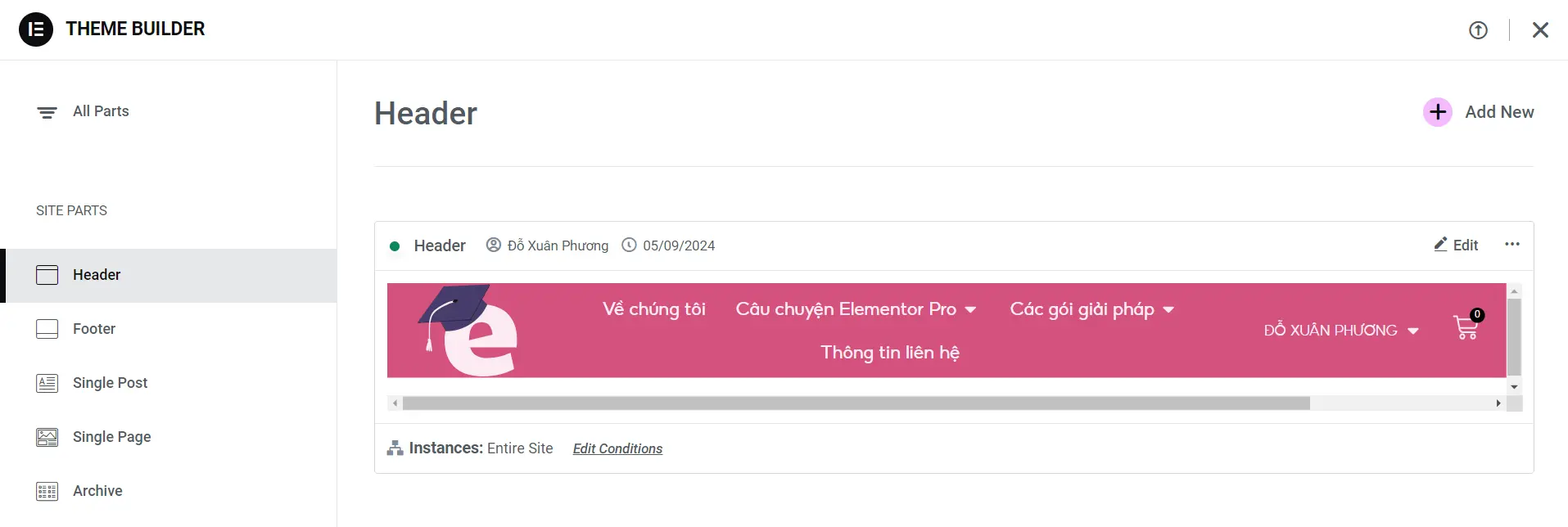 elementor theme builder không hoạt động - Hình 5