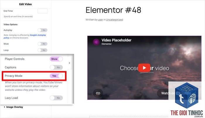 elementor video embed lỗi - Hình 3