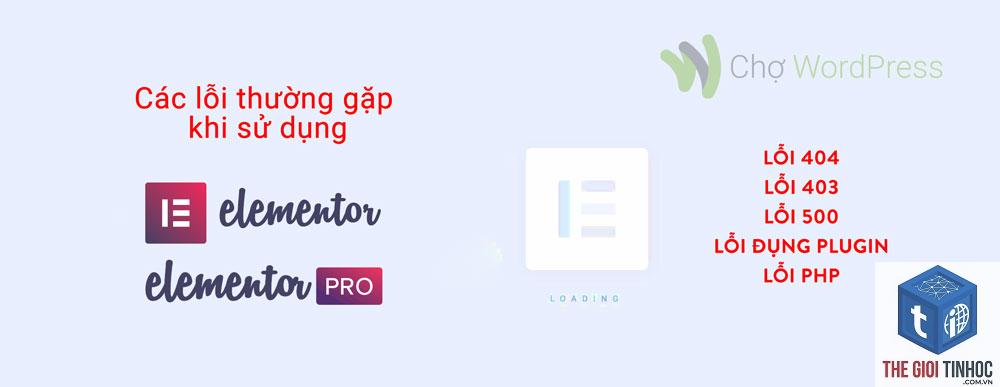elementor video javascript lỗi - Hình 4