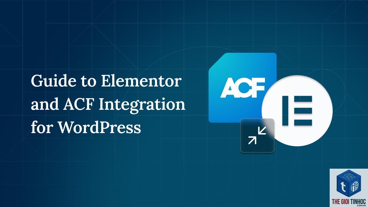 elementor xung đột acf - Hình 5