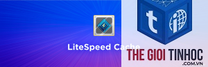 elementor xung đột litespeed cache