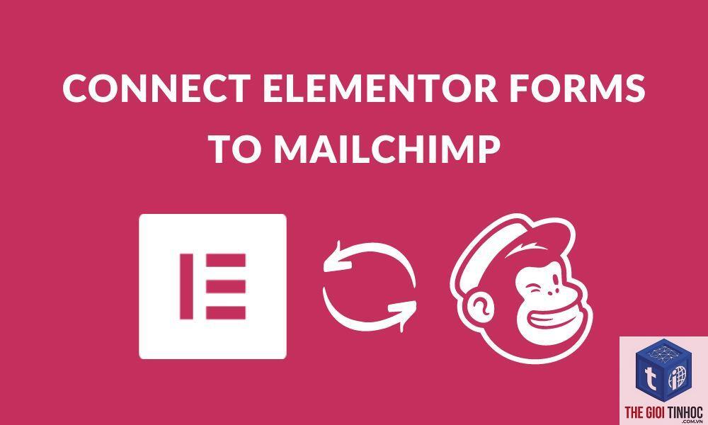 elementor xung đột mailchimp - Hình 2